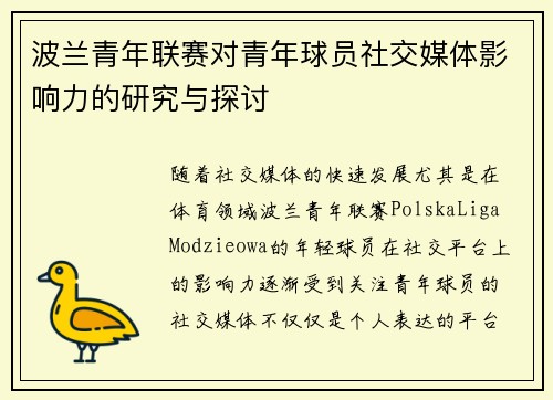 波兰青年联赛对青年球员社交媒体影响力的研究与探讨